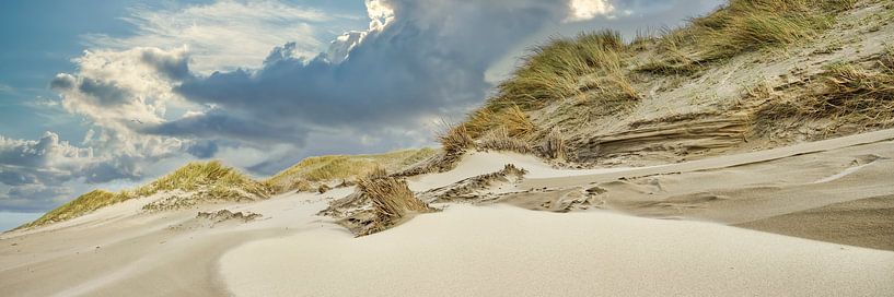 Niederländische Küste mit Strand und Dünen von eric van der eijk