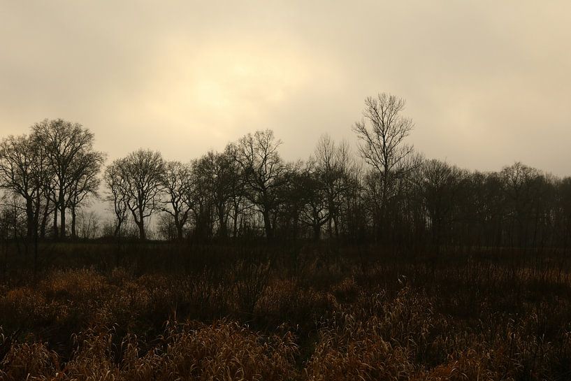 Landschaft mit seltsamem Licht von Pim van der Horst