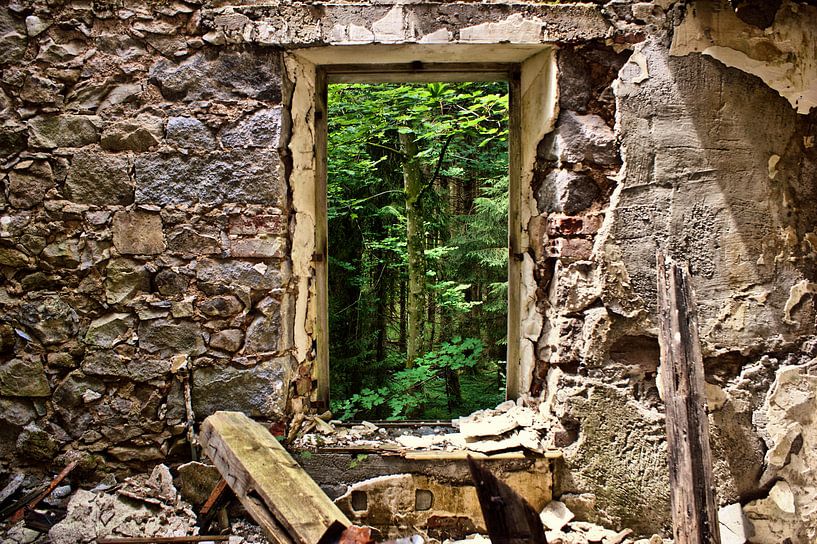 Blick auf den Wald von Dick Carlier