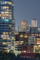 Bright Nights City Lights