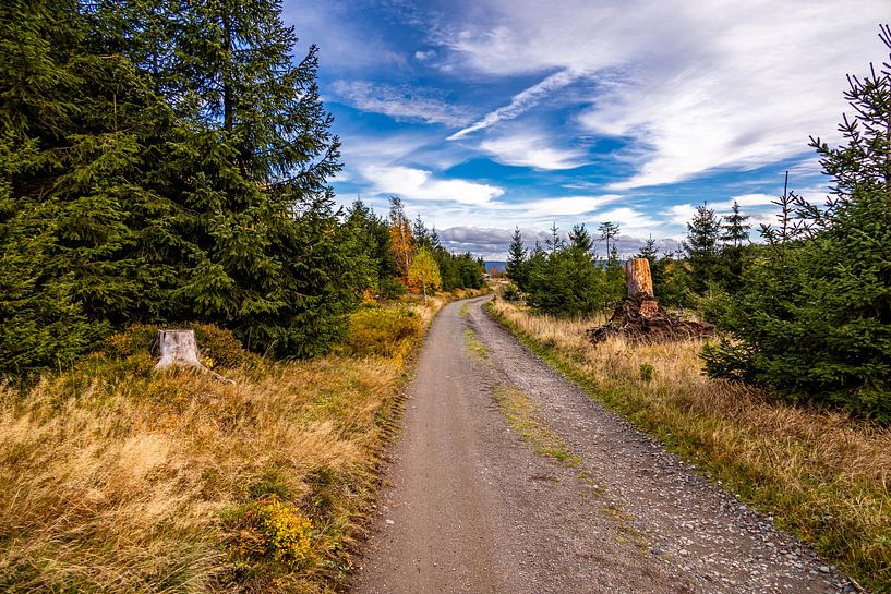 Herbstliche Wanderung durch den Spittergrund bei Tambach-Dietharz zum Wasserfall von Oliver Hlavaty