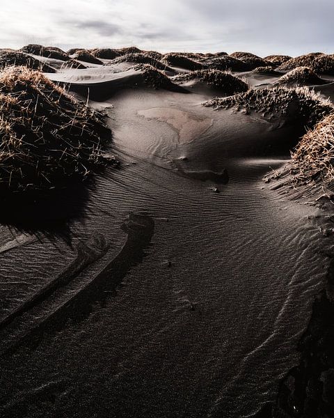 Dunes noires par Joris Machholz