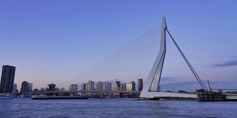 Erasmusbridge - Rotterdam by Gerard Van Delft