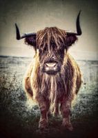 Scottish Highlander in green