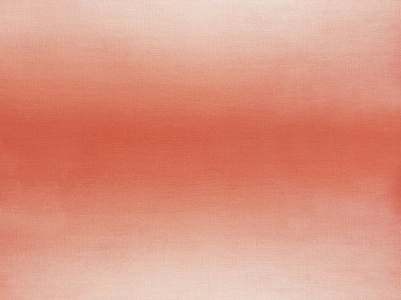 Mist in the Desert van Fernando Vieira