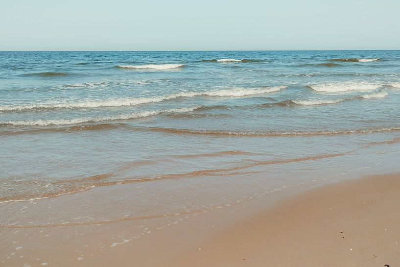Vitamin Meer von Gonnie van Roij