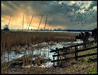 le soleil se lève au bord du fleuve ; le monde s'éveille