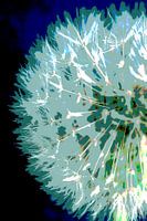 abstract dandelion