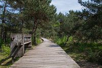 Promenade de Twickel