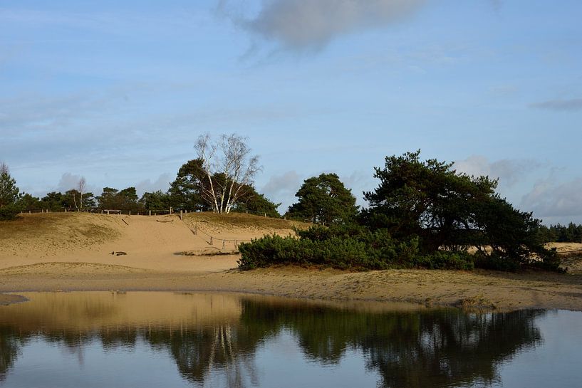 La nature sur le sable du Hulshorster par Gerard de Zwaan