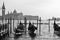 Venice black and white