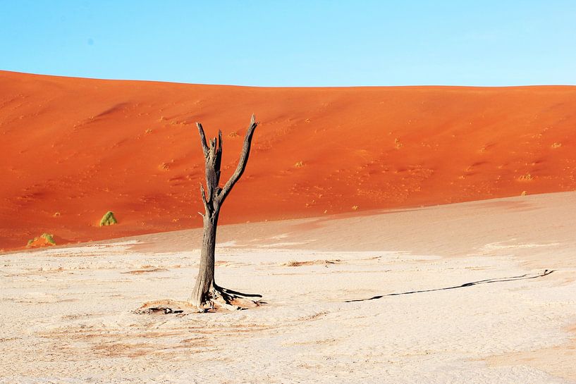 Lac salé Namibie par Inge Hogenbijl