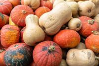 Courges d'Hokkaido et de Butternut