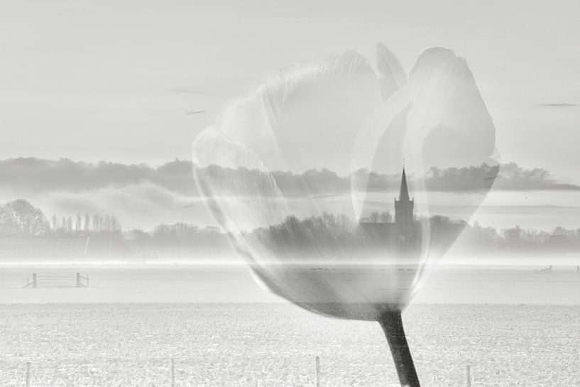 Niederländische Landschaft von WeVaFotografie