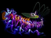 Chenille avant la transformation