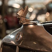 Heroische und kämpferische Minerva Heizkörperverzierung