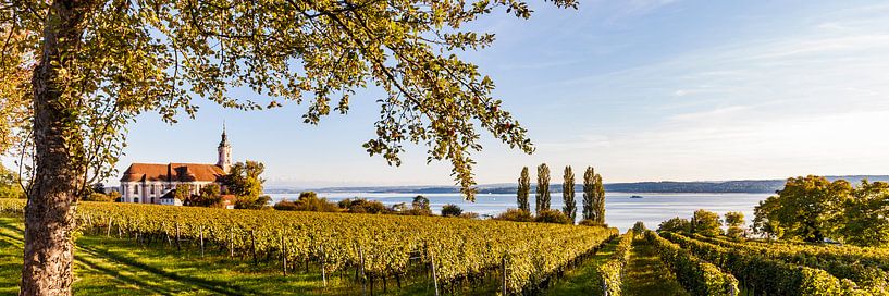 Les vignobles et l'église de pèlerinage Birnau au bord du lac de Constance par Werner Dieterich