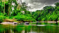 Kabalebo rivier in Suriname