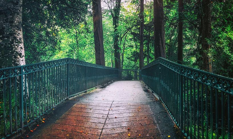 Eine Brücke im Wald im schönen Inverness in Schottland. von Jakob Baranowski - Photography - Video - Photoshop