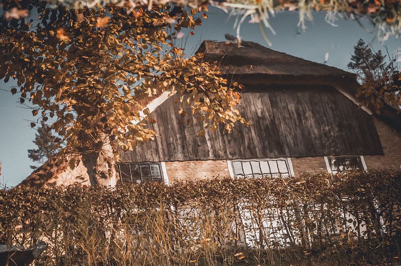 Autumn by Nancy van Verseveld