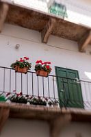 Hungary | Györ | dreamy pastel in the city