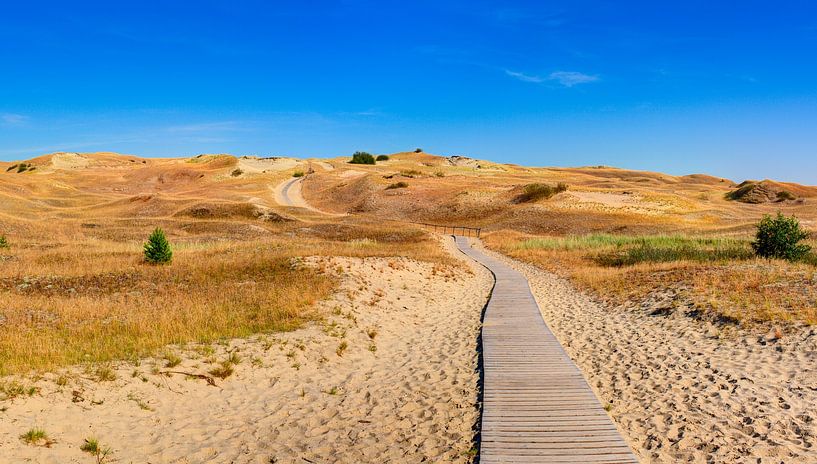 Wooden road in the sand dunes. by Yevgen Belich