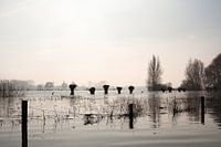 Hochwasser an der Ijssel Zutphen