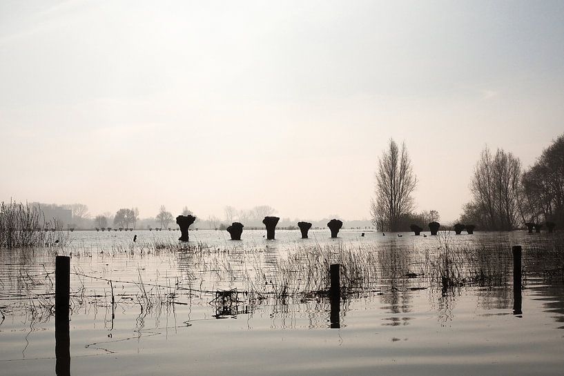 Hochwasser an der Ijssel Zutphen von Photography by J