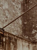 Taube in Verkleidung | Reisefotografie Kunstdruck in der Stadt Saint Tropez | Cote d'Azur, Südfrankreich