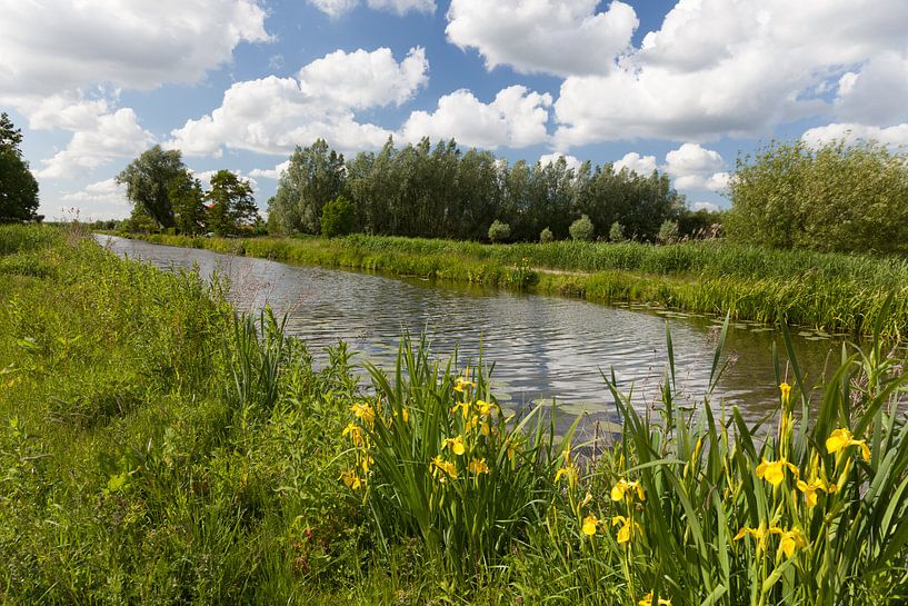 Zomer op het eiland van Schalkwijk by Marijke van Eijkeren