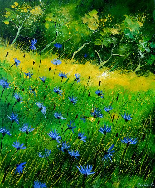 Centaurées par pol ledent