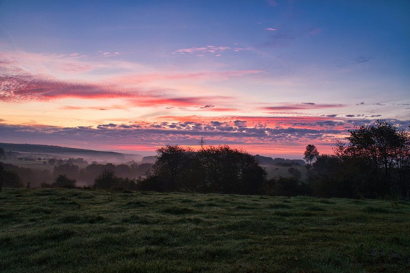 Tree in a meadow in the fog at sunrise by Martin Köbsch