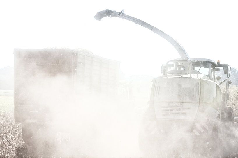 Mais oogsten in het stof par Jan Brons