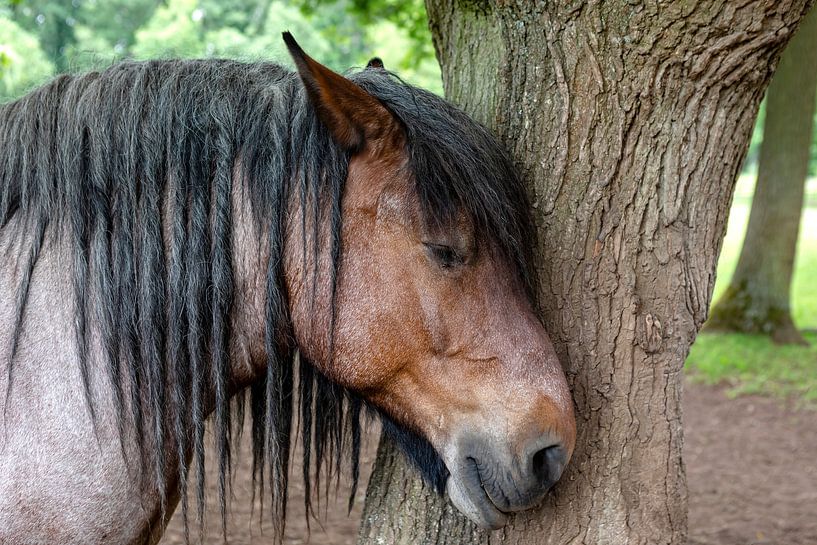 Traurig von Harald Schottner