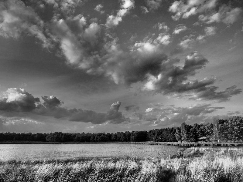 Landschap von Alex Davidse