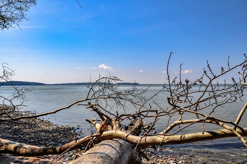 Plage naturelle au lagon du Great Jasmund Bodden près de Lietzow par GH Foto & Artdesign
