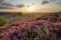 Un regard vers l'Est