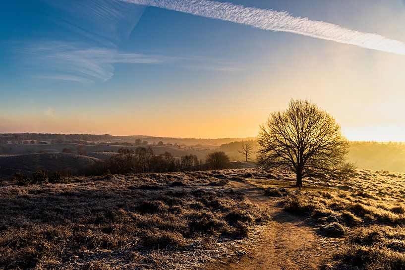 Lever du soleil par Koos de Vries