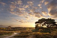 Am Ende des Tages...