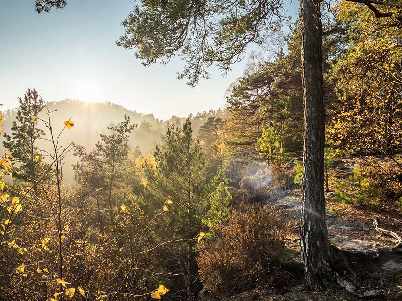 Kleinhennersdorfer Stein, Sächsische Schweiz - Papststein, Hunskirchen von Pixelwerk