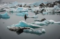 Jökulsárlón Silence II