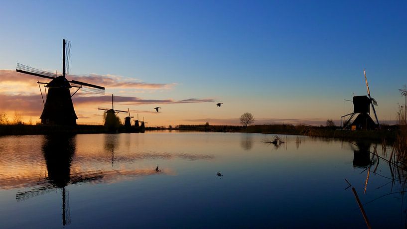 Laagvliegers par Harro Jansz