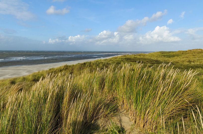 Plage vide à l'île de Vlieland Wadden par Sjoerd van der Wal Photographie