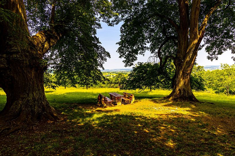 7 Linden von W.Schriebl PixelArts