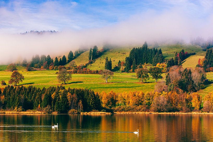 Herbst und Schwäne am Grüntensee von Henk Meijer Photography