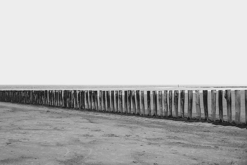 Beach poles in Zeeland by Raaf