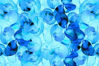 Abstracte Blauwe Bladeren