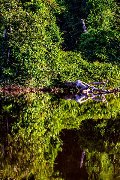Paloemeu (sometimes spelled Palumeu) is an indigenous village . by René Holtslag