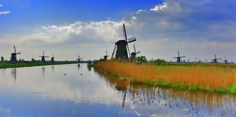 Kinderdijk Panorama von Edgar Schermaul