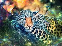 Leopard Wild Cat Panther Cat of Prey Cats Jungle